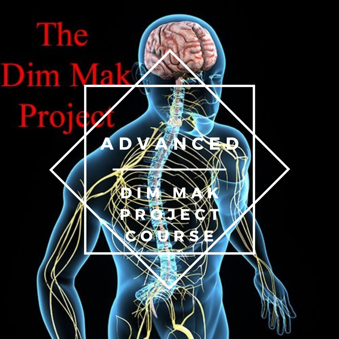 * Advanced Dim Mak Project Course
