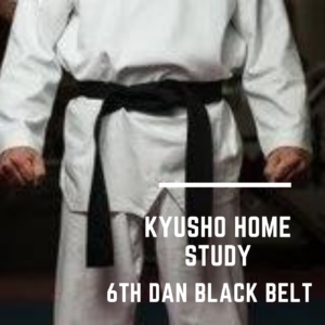 * 6th Dan Black Belt