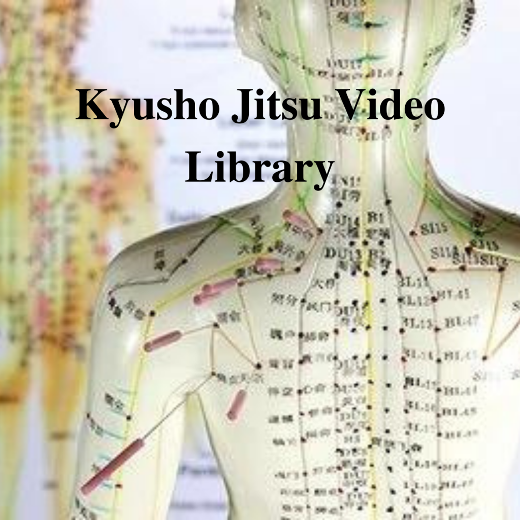 Kyusho Jitsu Learning Video Library