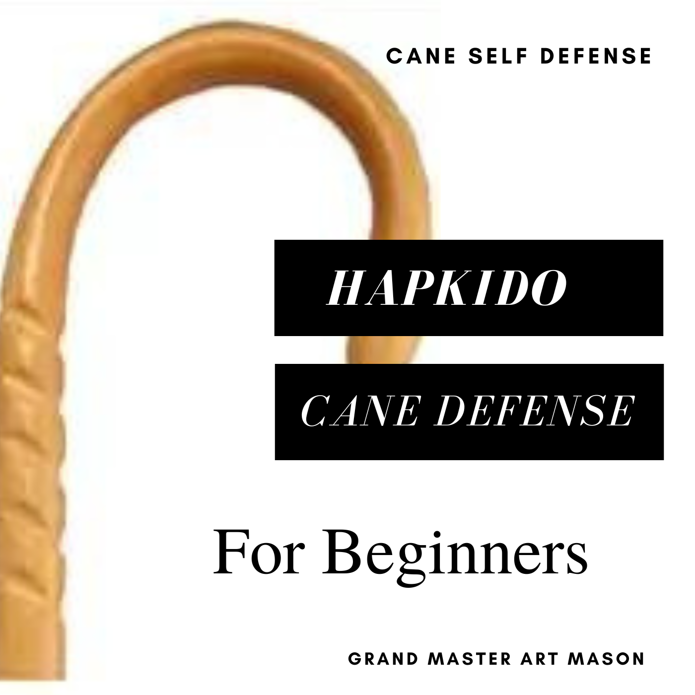 * Hapkido Cane Defense System: